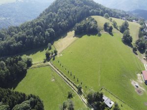 deer farm Gut Jägerhof