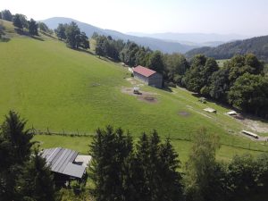 deer farm Gut Jägerhof