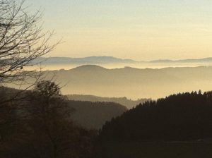 Landschaft Gut Jägerhof