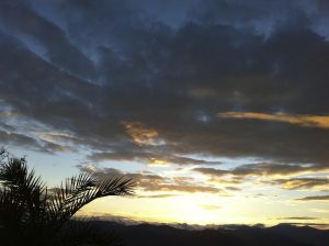 landscape Gut Jägerhof