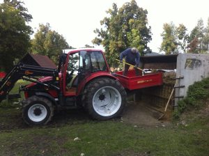deer feeding Gut Jägerhof