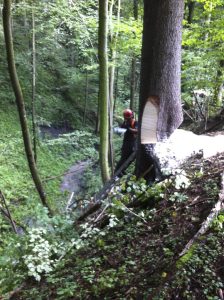 logger Gut Jägerhof