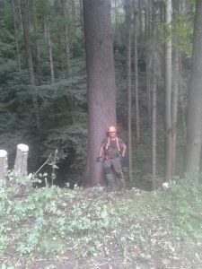 logger Gut Jägerhof