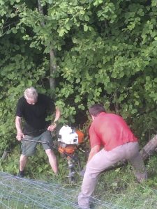 post fencing Gut Jägerhof